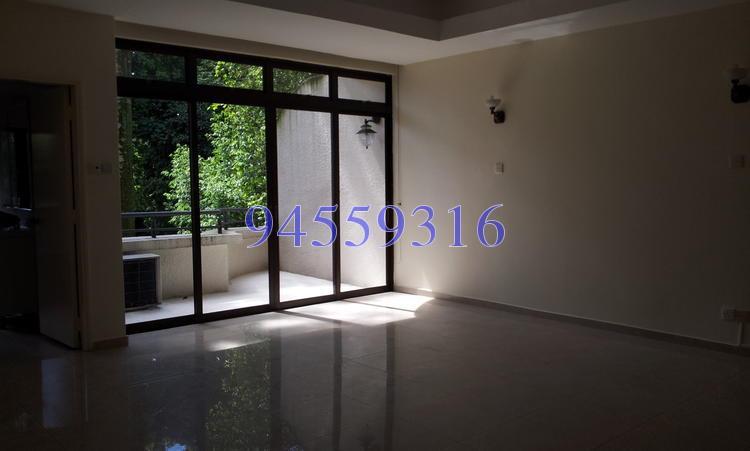 The Balmoral (D10), Condominium #155475792